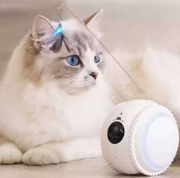 Smart Interactive Pet Toy Dog Cat with HD camera video communication App Remote Control Pet mate