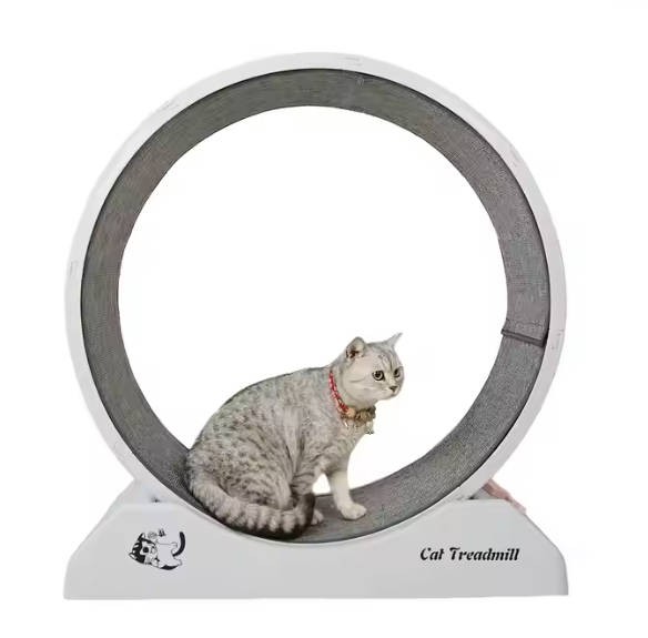 2025 New Model Pet Interactive Motion Toys other pet toys cat treadmill wheel cat running lose weight